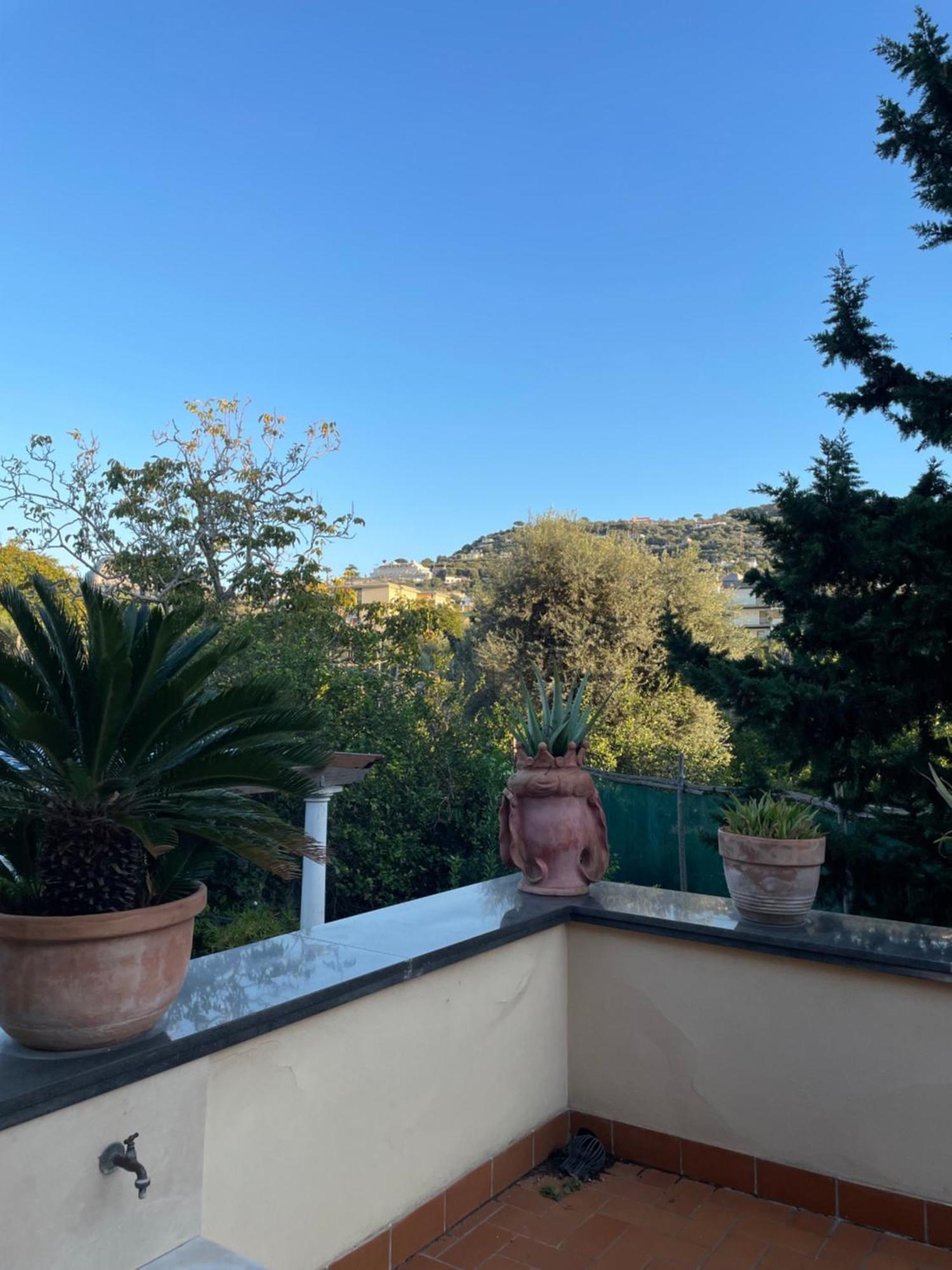 Domus Felix Bed and Breakfast Σορέντο Εξωτερικό φωτογραφία