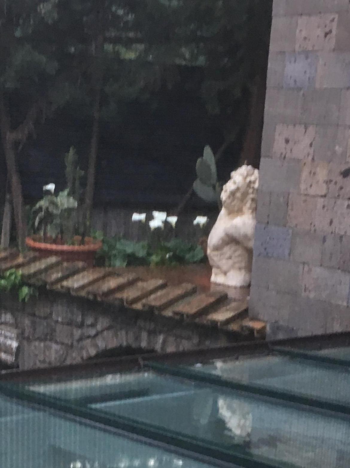 Domus Felix Bed and Breakfast Σορέντο Εξωτερικό φωτογραφία